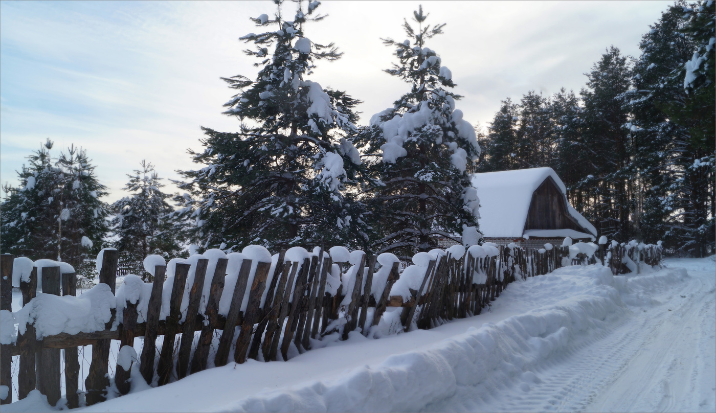 К лесу задом