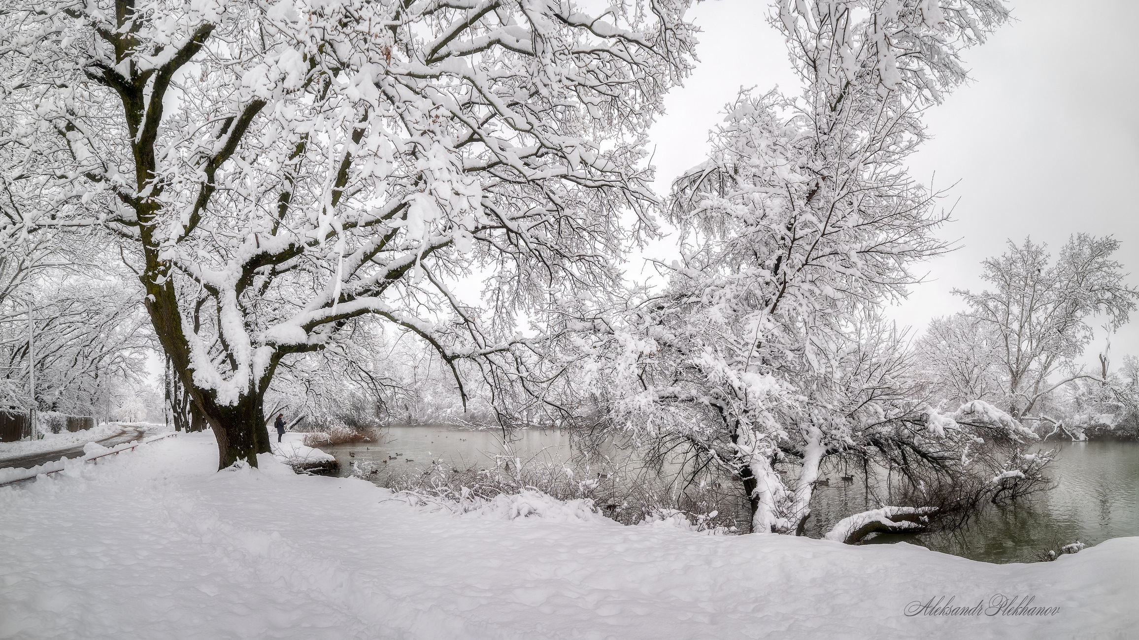 Силуэты под снегом