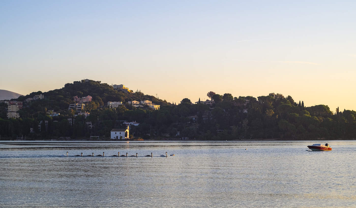 Лебединый строй