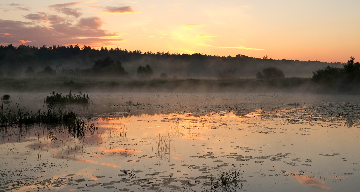 Летнее утро.