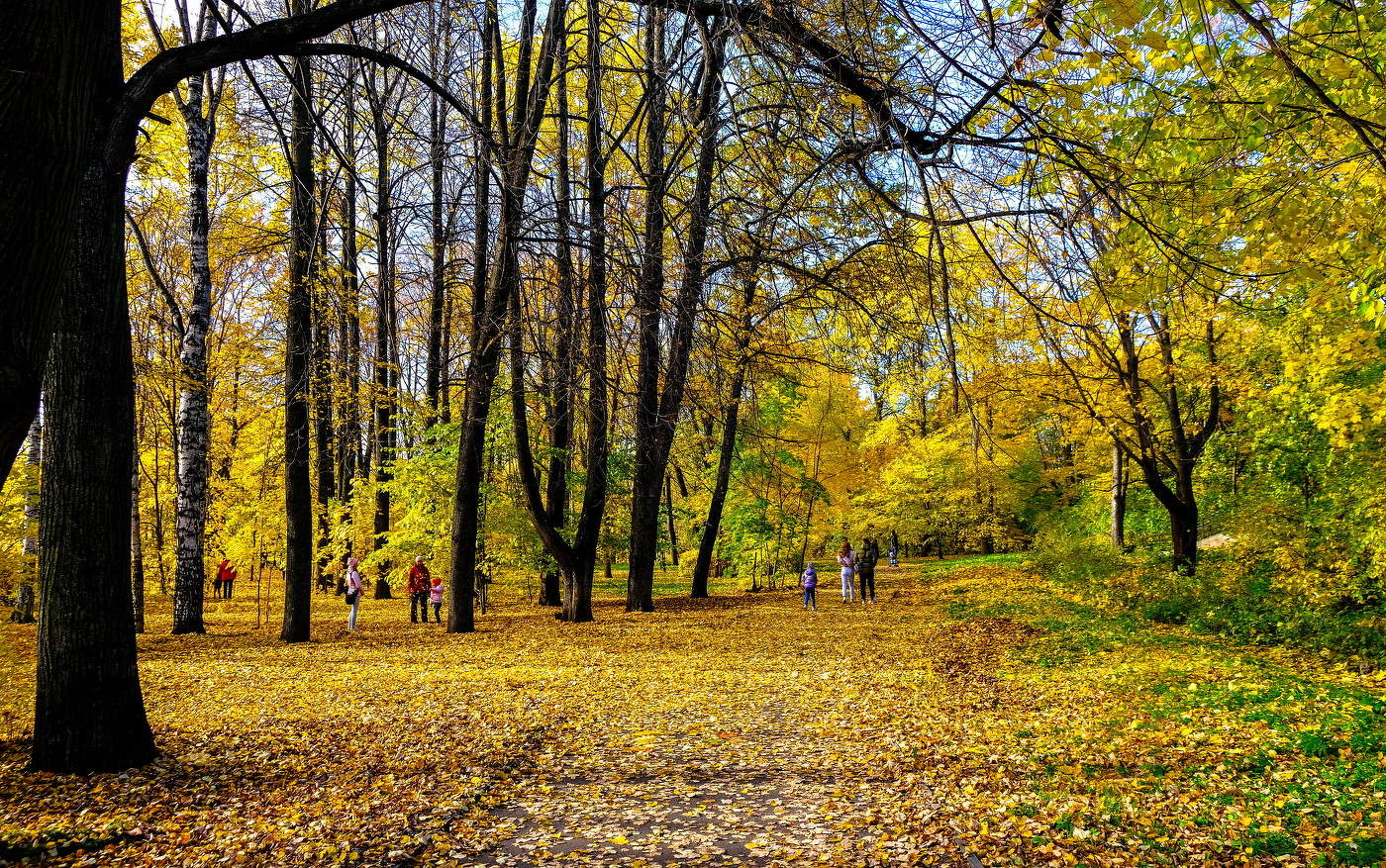 Осень правит бал...