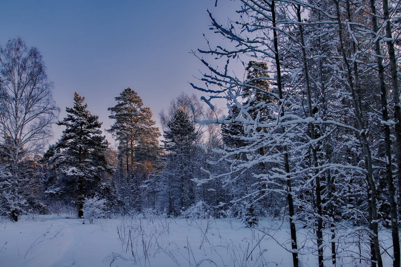 *Морозным днём.**