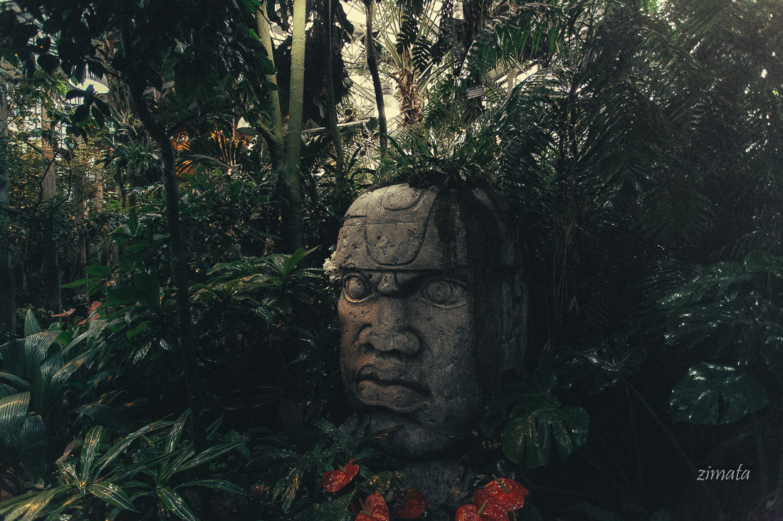 аптекарский огород - 1