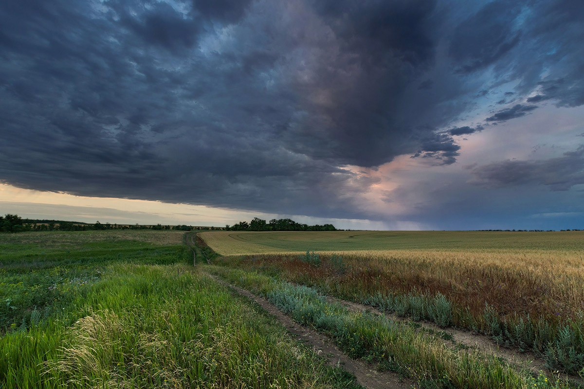 Скоро стемнеет