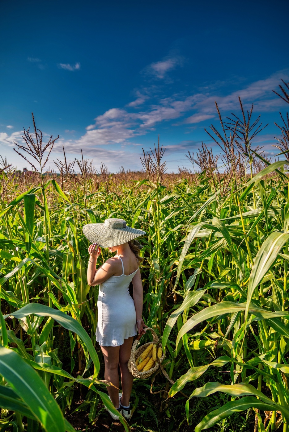 Бескрайнее поле