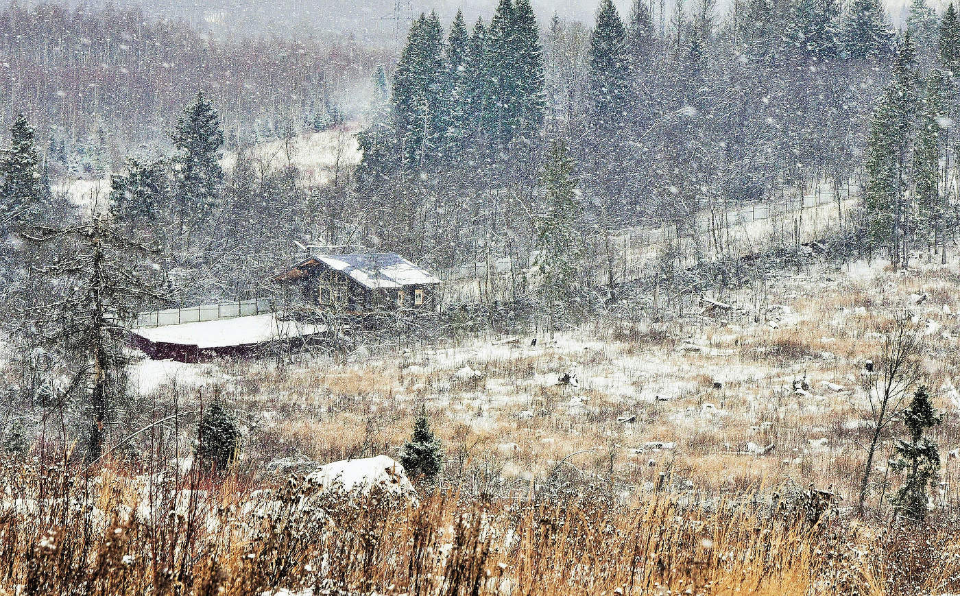 Домик в лесу ...