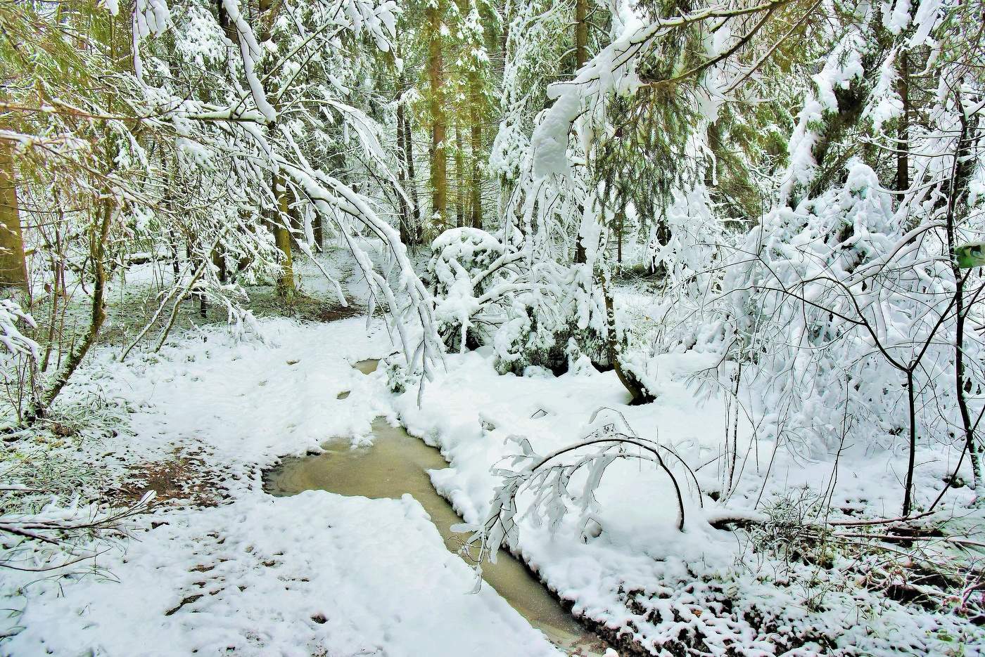"Была оттепель недолгой, уступив мир холодам..."