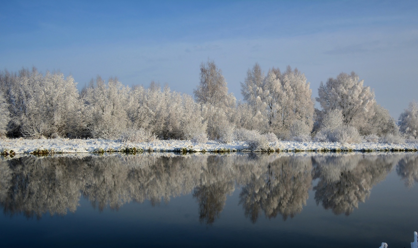 На белом берегу