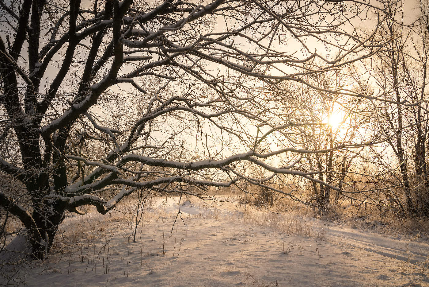 Зимнее солнце