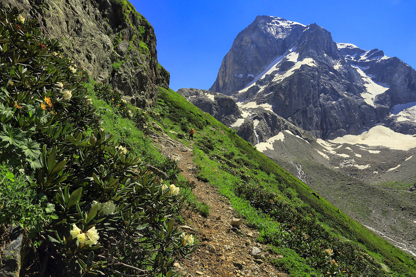 На горной тропе