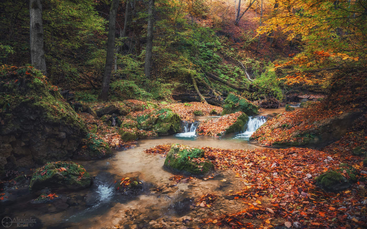 Уголок осеннего леса