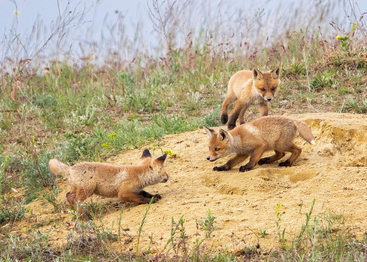 Детские игры