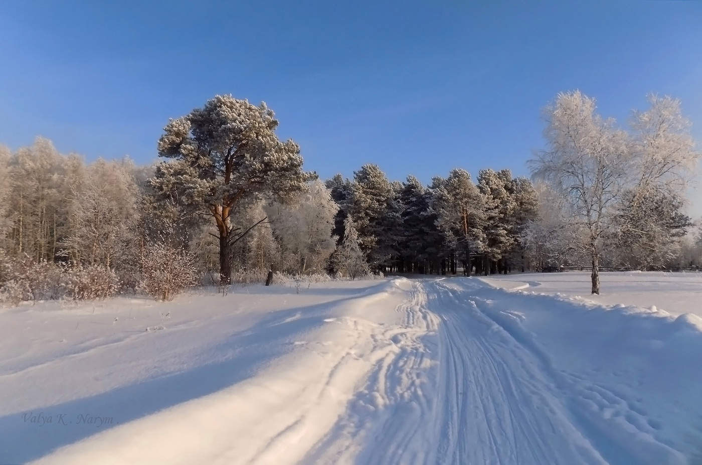 Заснеженная дорога
