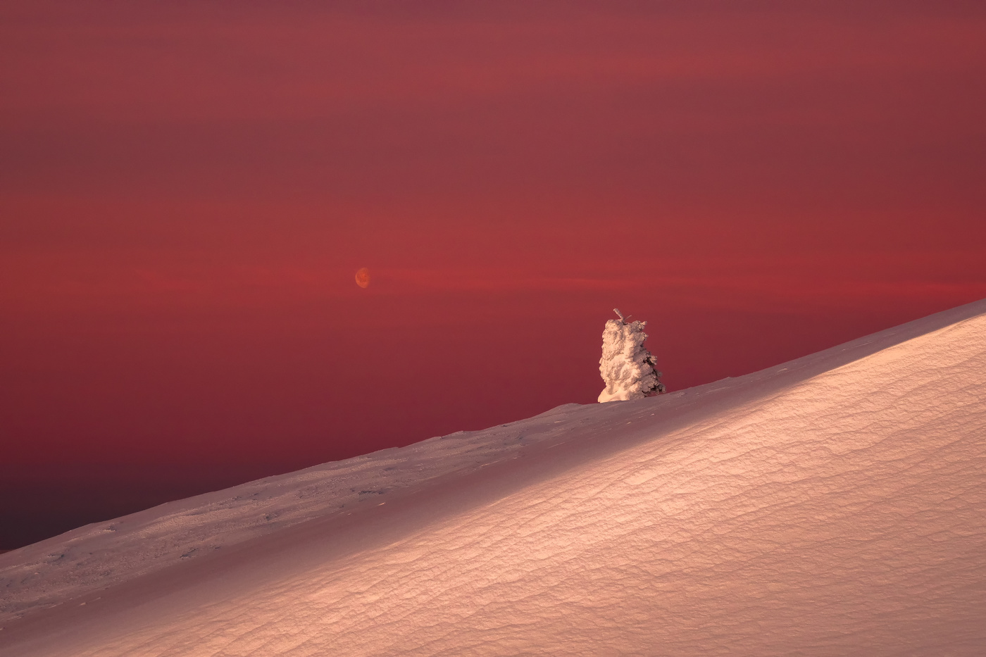 Заполярный предрассветный минимализм.