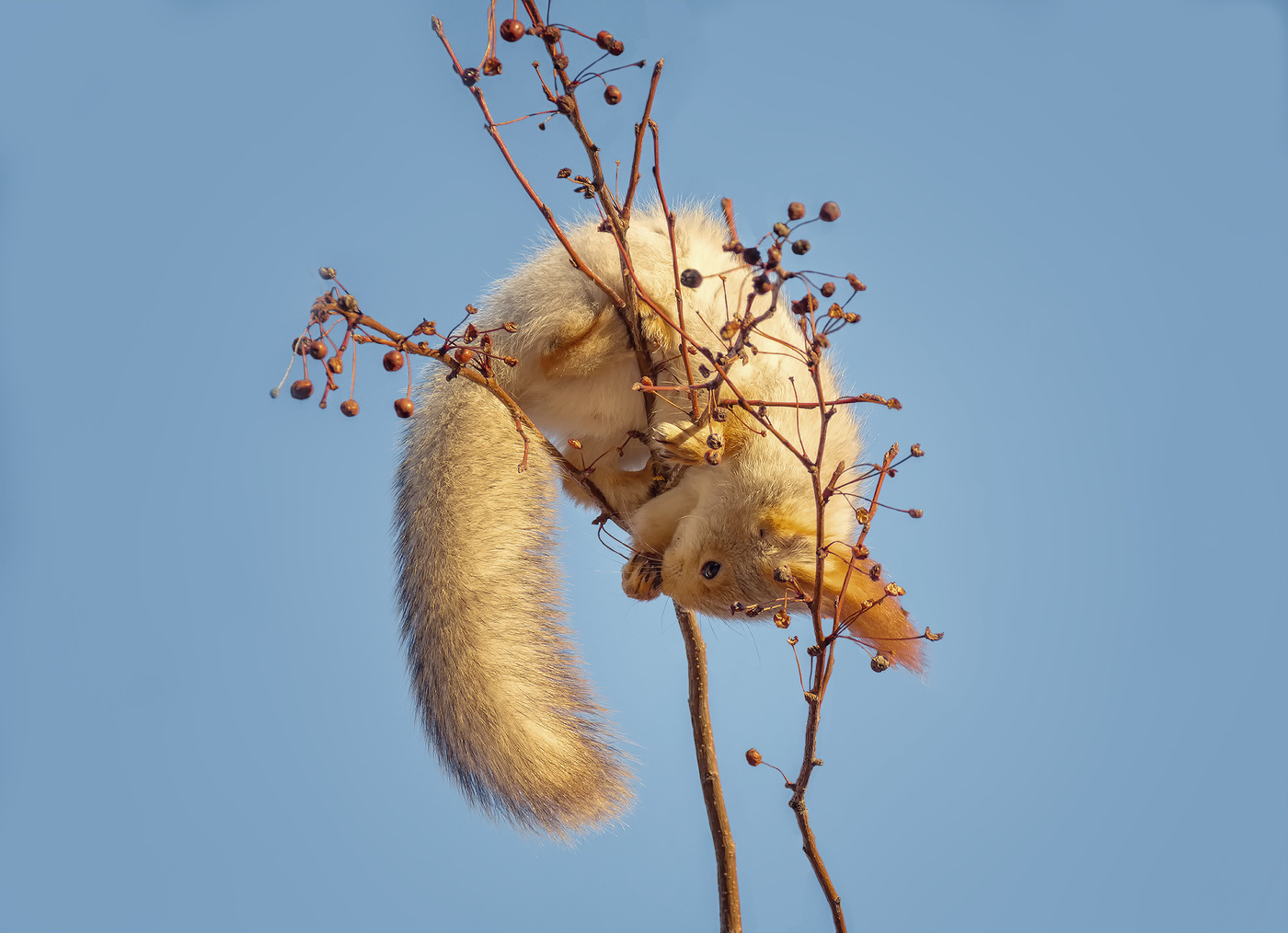 тоже.. охота!