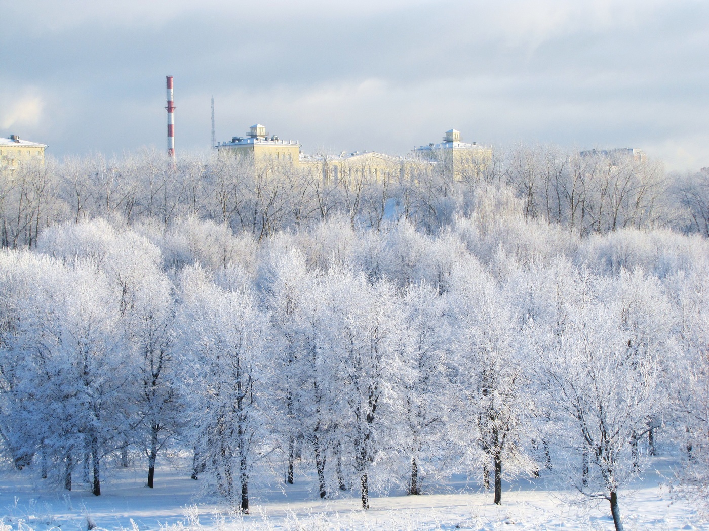 Морозный день!