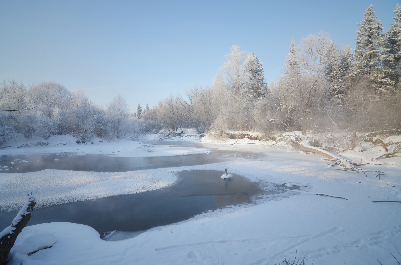 Мне кажется, что все мы слишком много смотрим на Природу и слишком мало живем с ней.