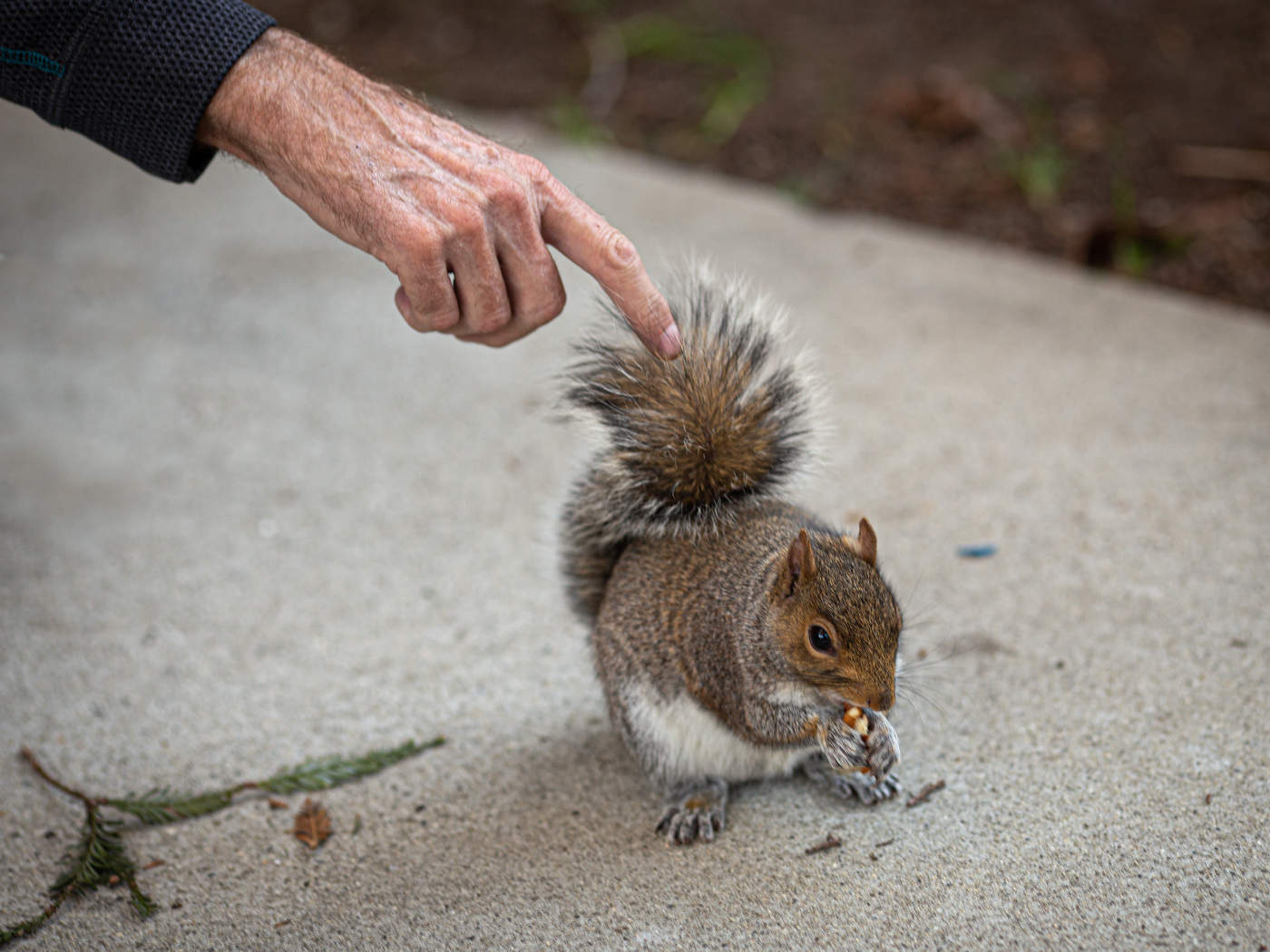 Эй, послушай!