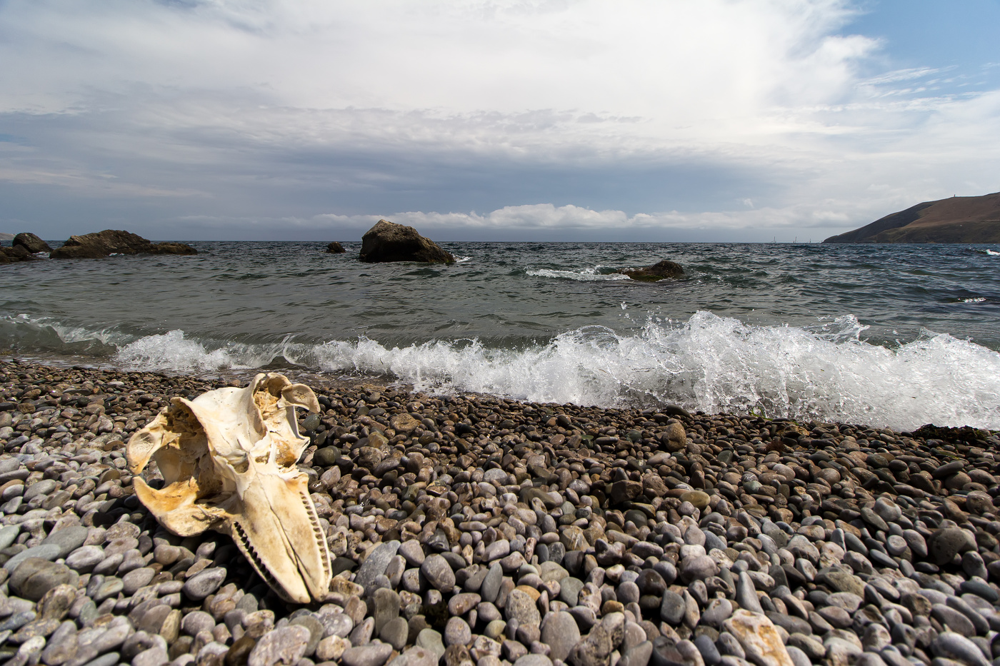 Море...оно такое разное...