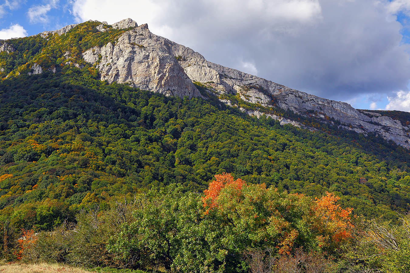 Ангарская стена