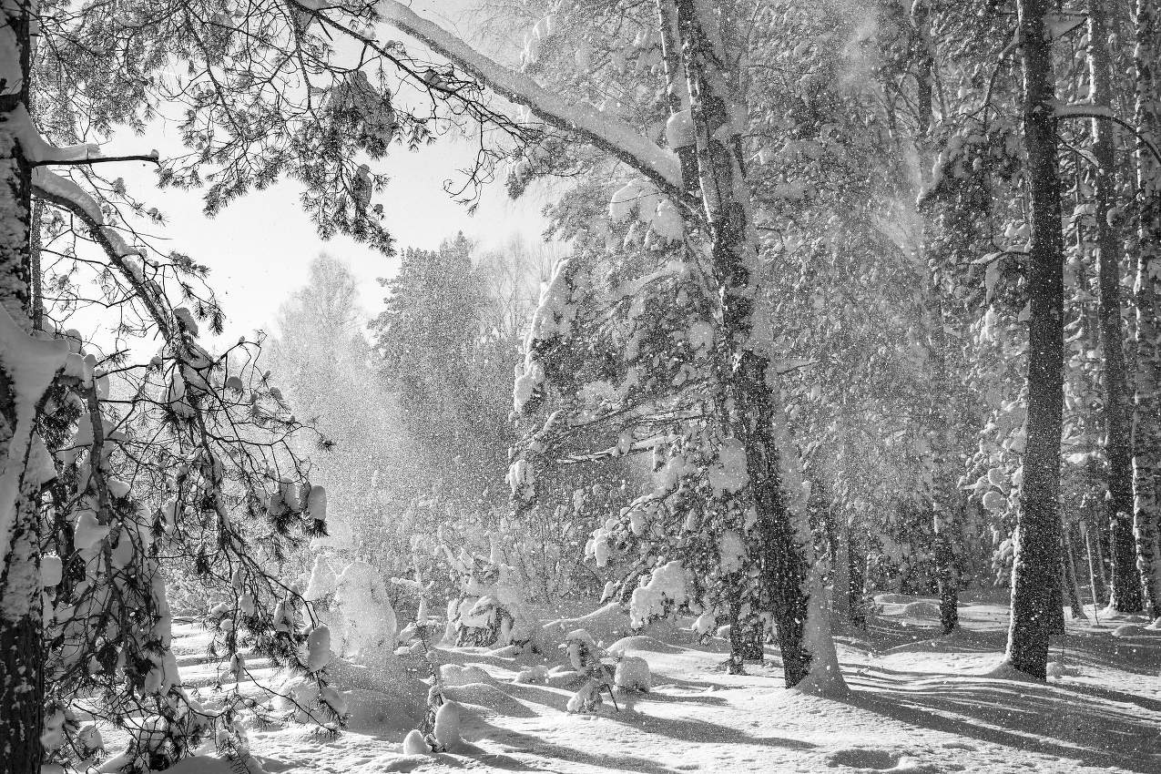 Осыпается снег...