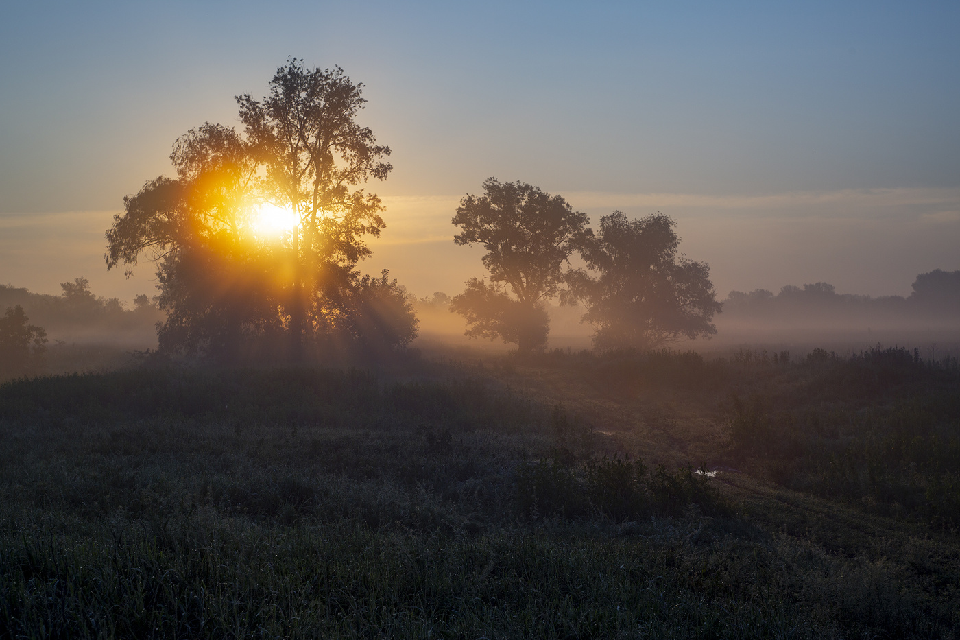 Жажда солнца
