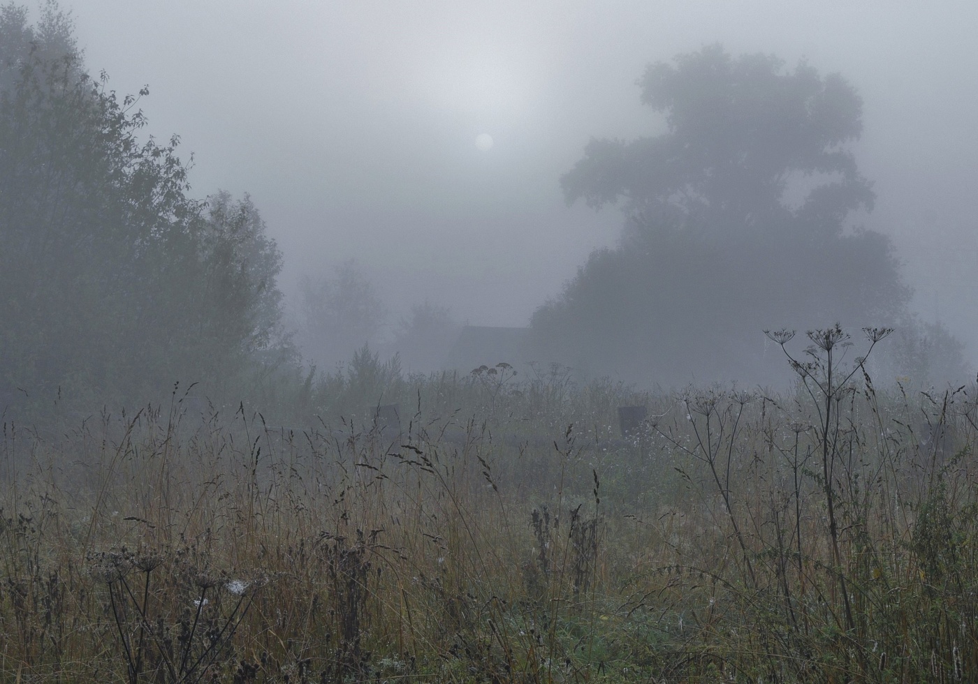 "Приветствую тебя, пустынный уголок, приют спокойствия..."