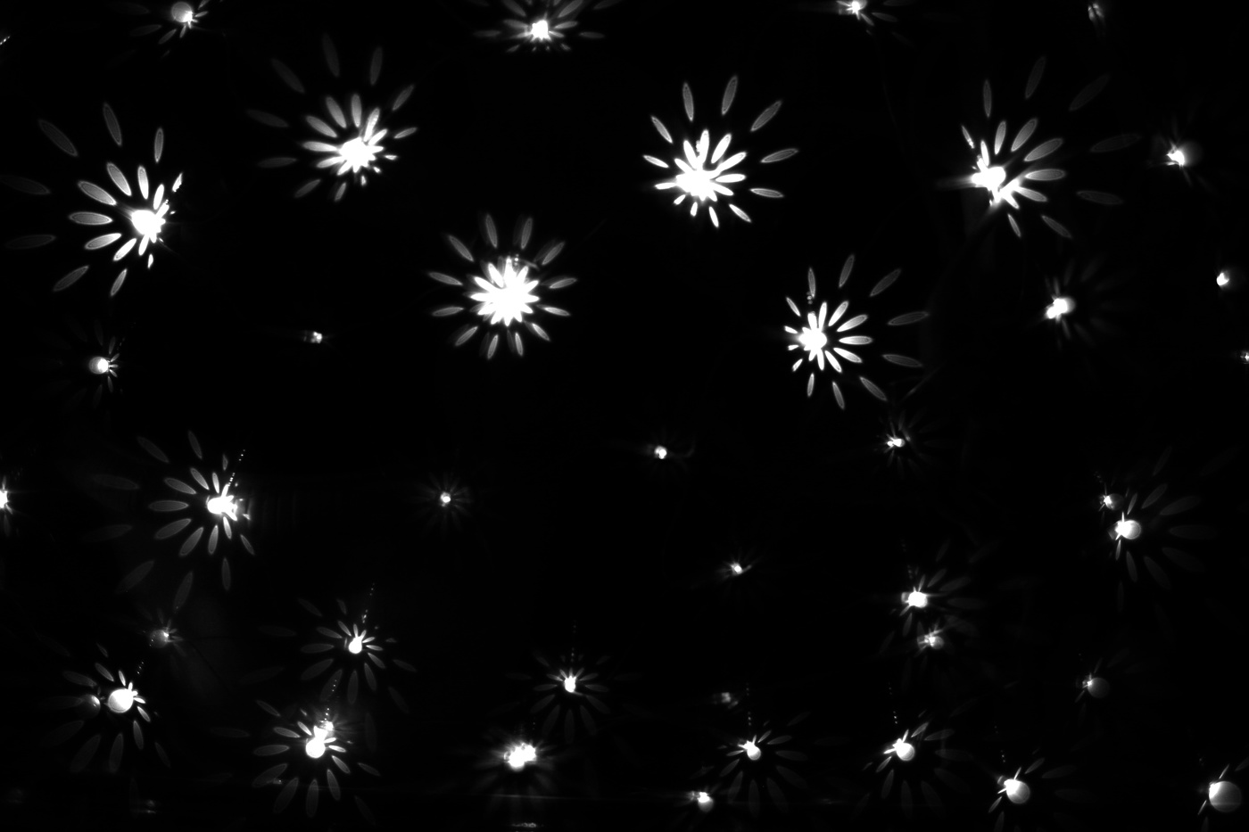 Жизнь вокруг