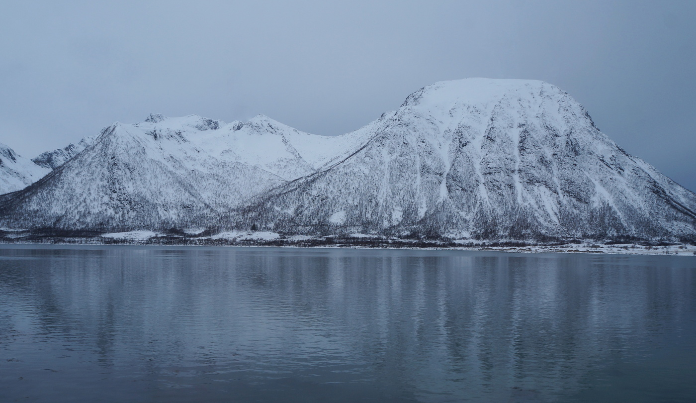 Усеченная красота