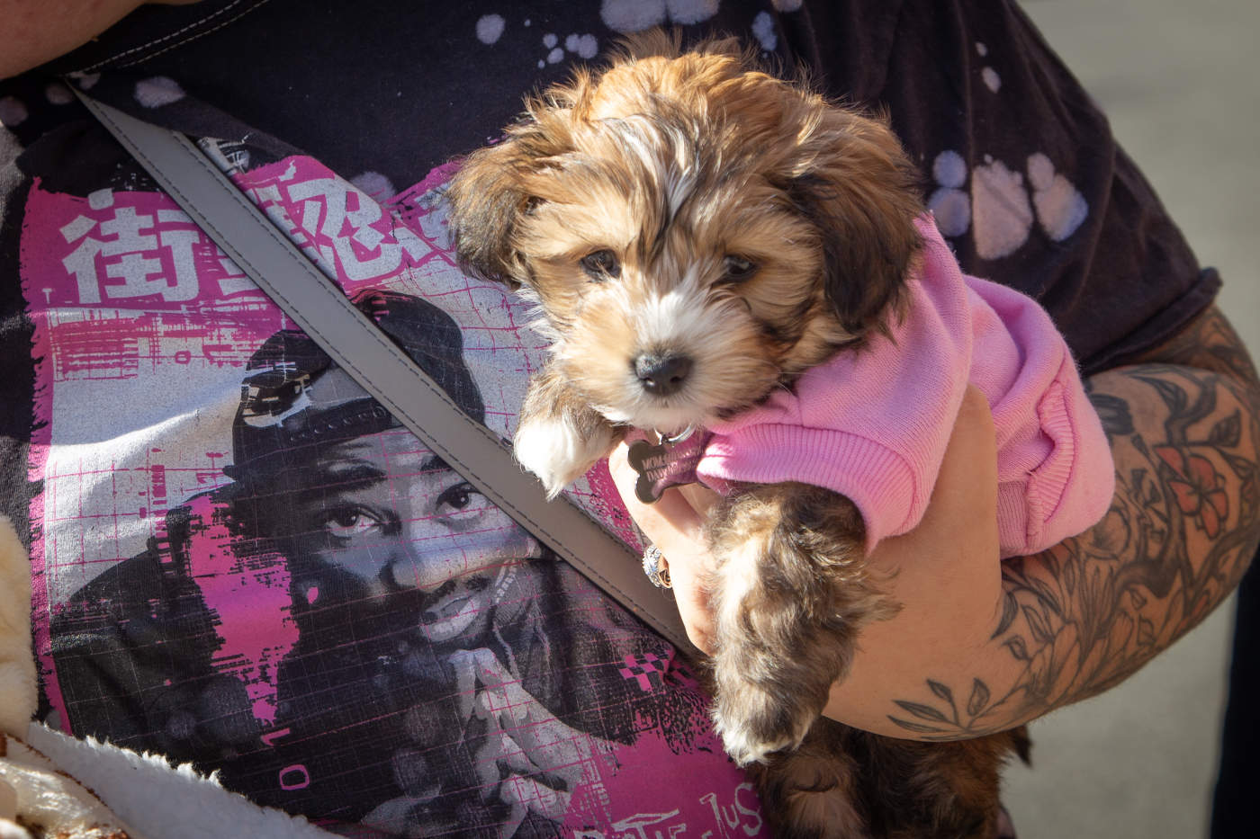 -Я вам не игрушка!