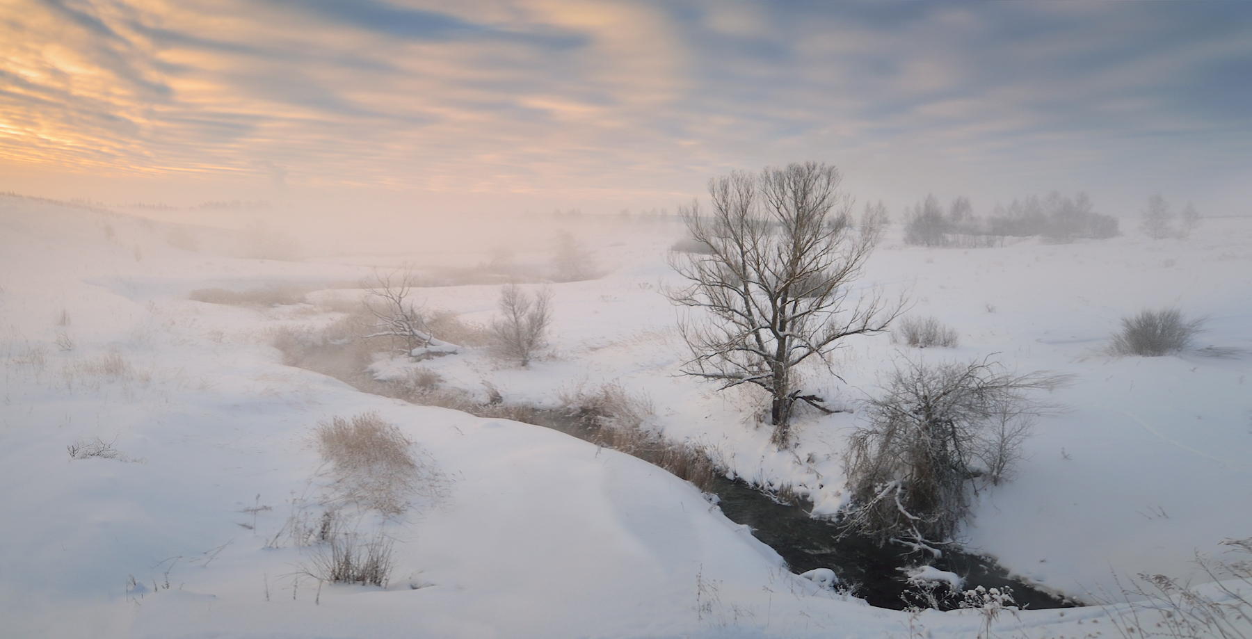 В морозно-туманной долине