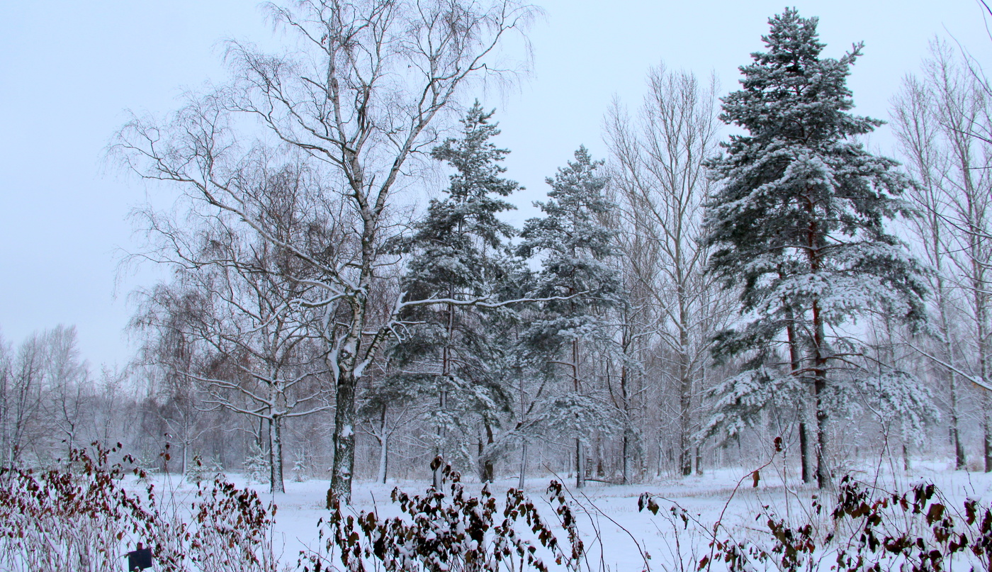 Зимний пейзаж!