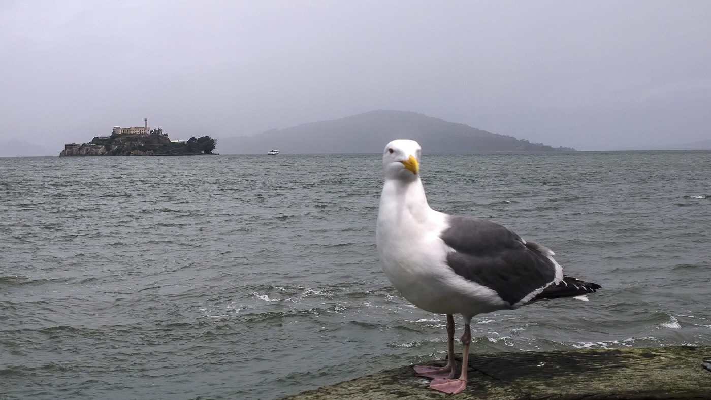 Проводник до Алькатраса...