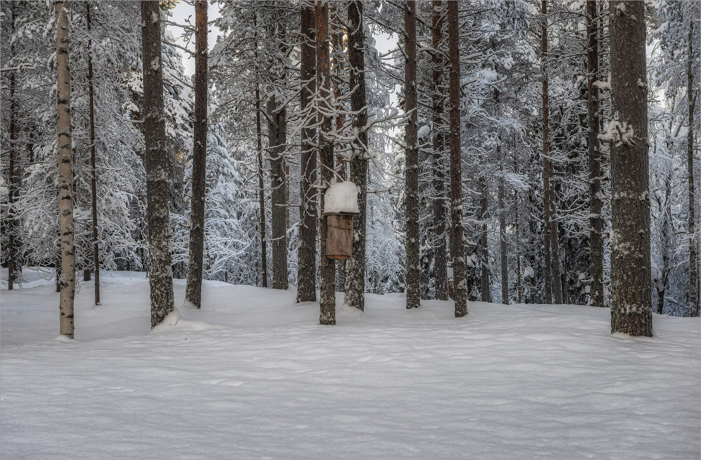В ожидании весны