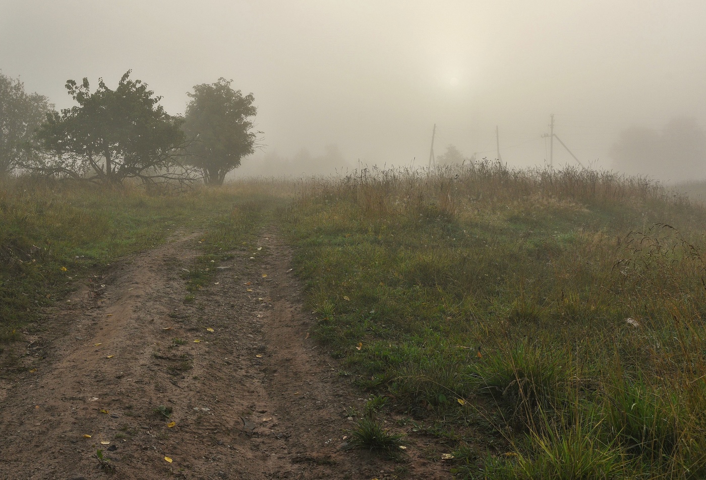 Раннее утро позднего августа ...