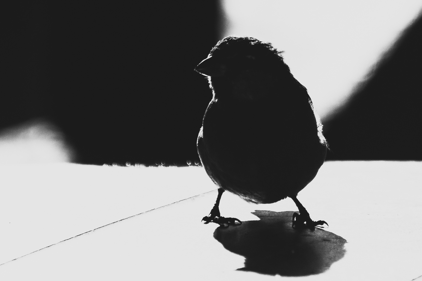 Жизнь вокруг