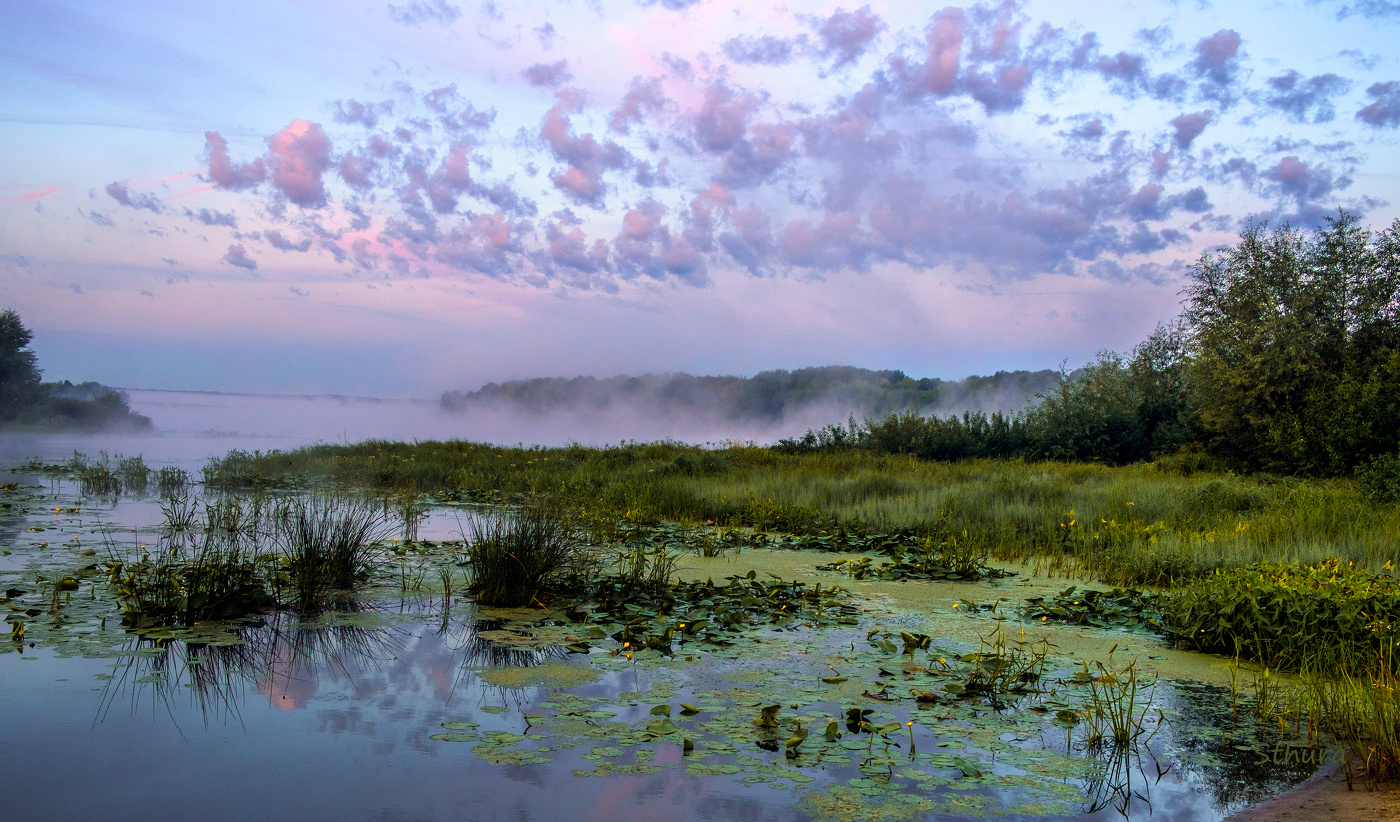 На стыке Оки и Истока.