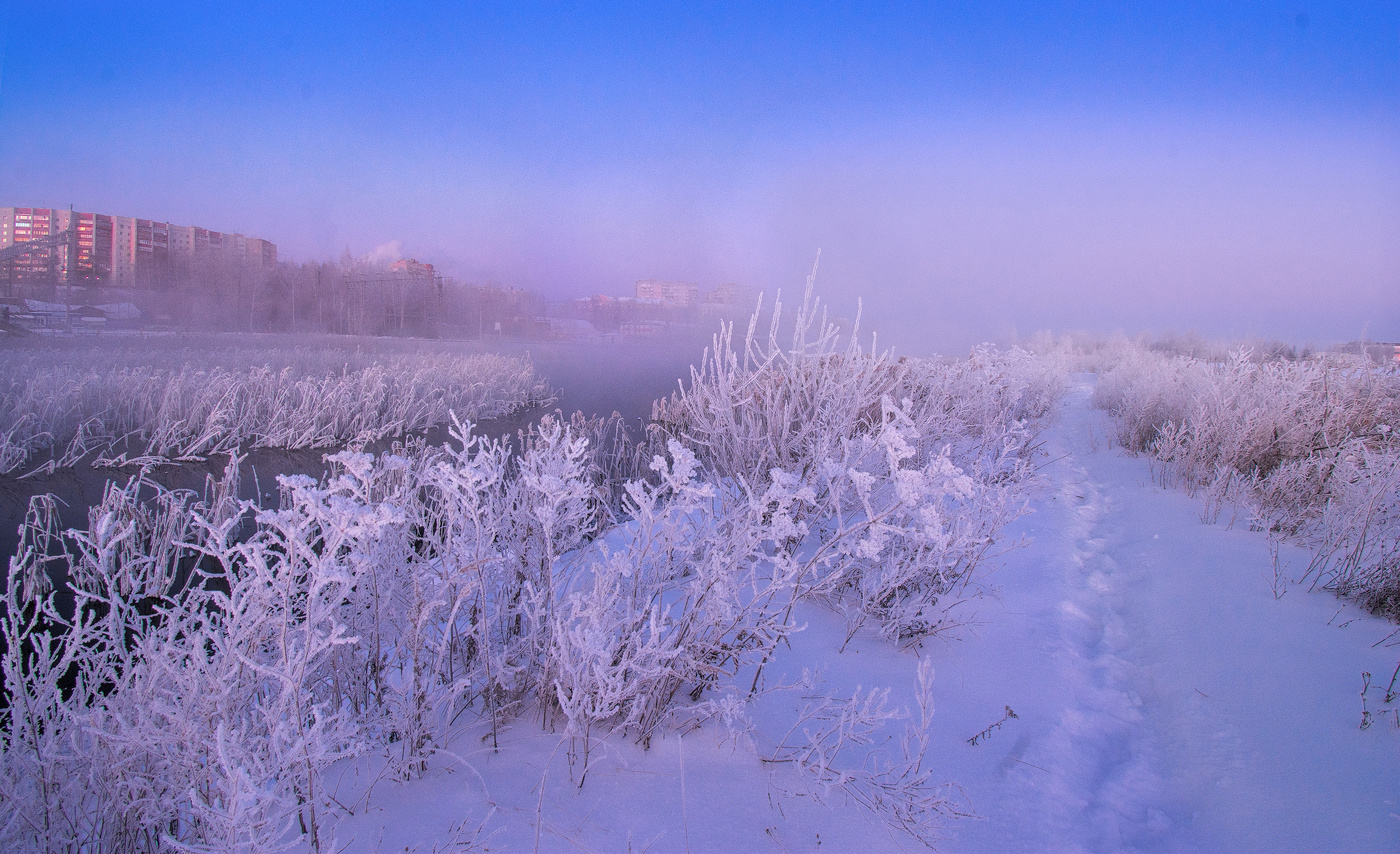 Посеребрил мороз кусты