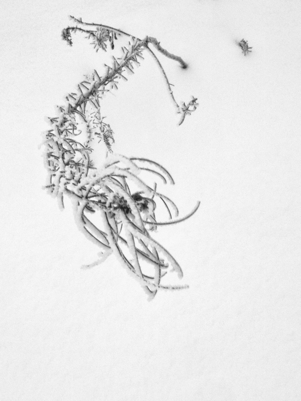 Жизнь вокруг