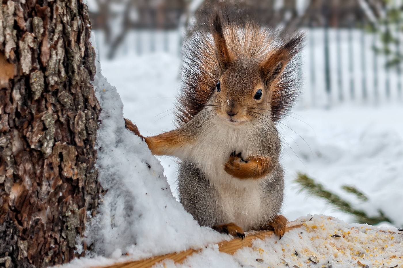 Ты это... Приноси еще