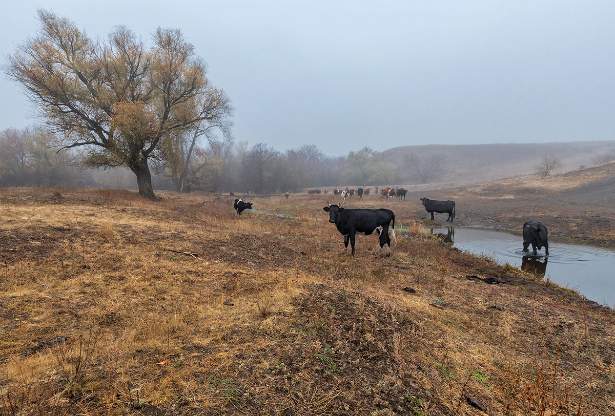 Унылая пора