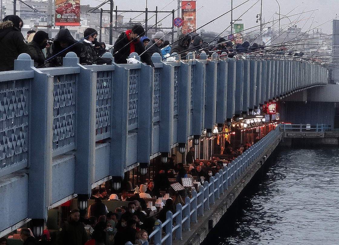 Верхние ловят. нижние едят