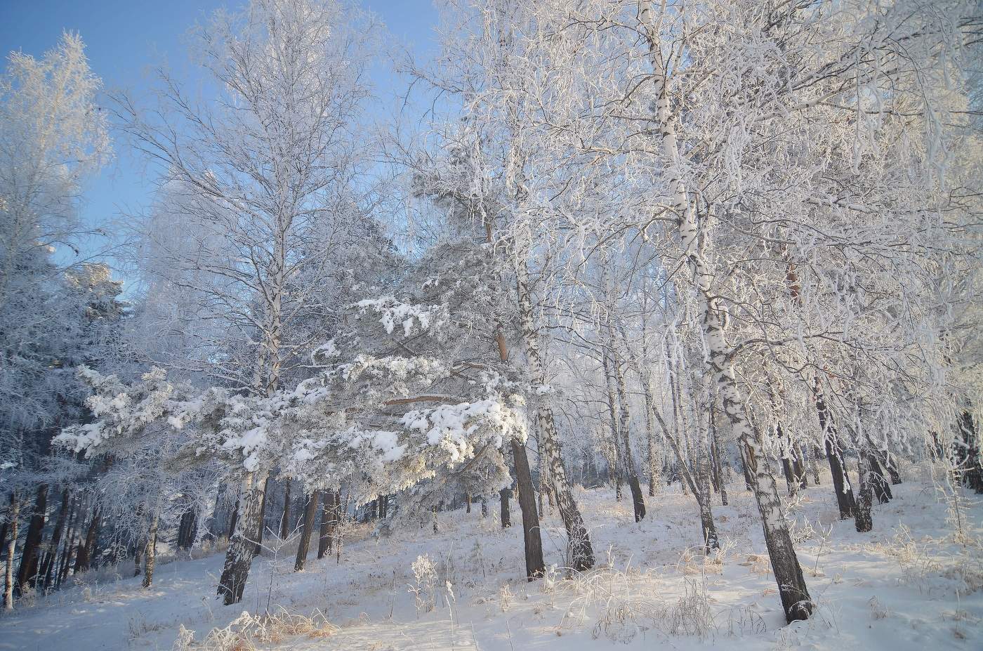 Нет ничего более изобретательного, чем природа.