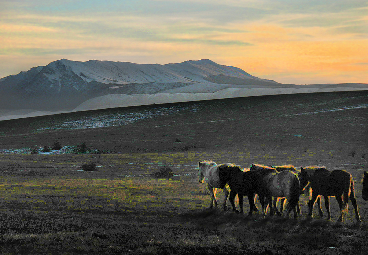 Домой на отдых