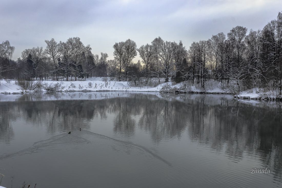 зимнее отражение