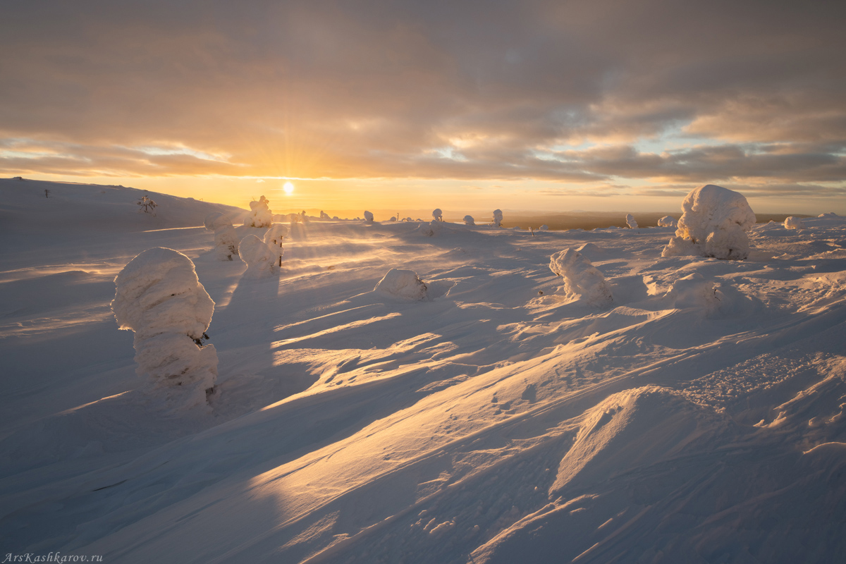 "Снежная поземка"