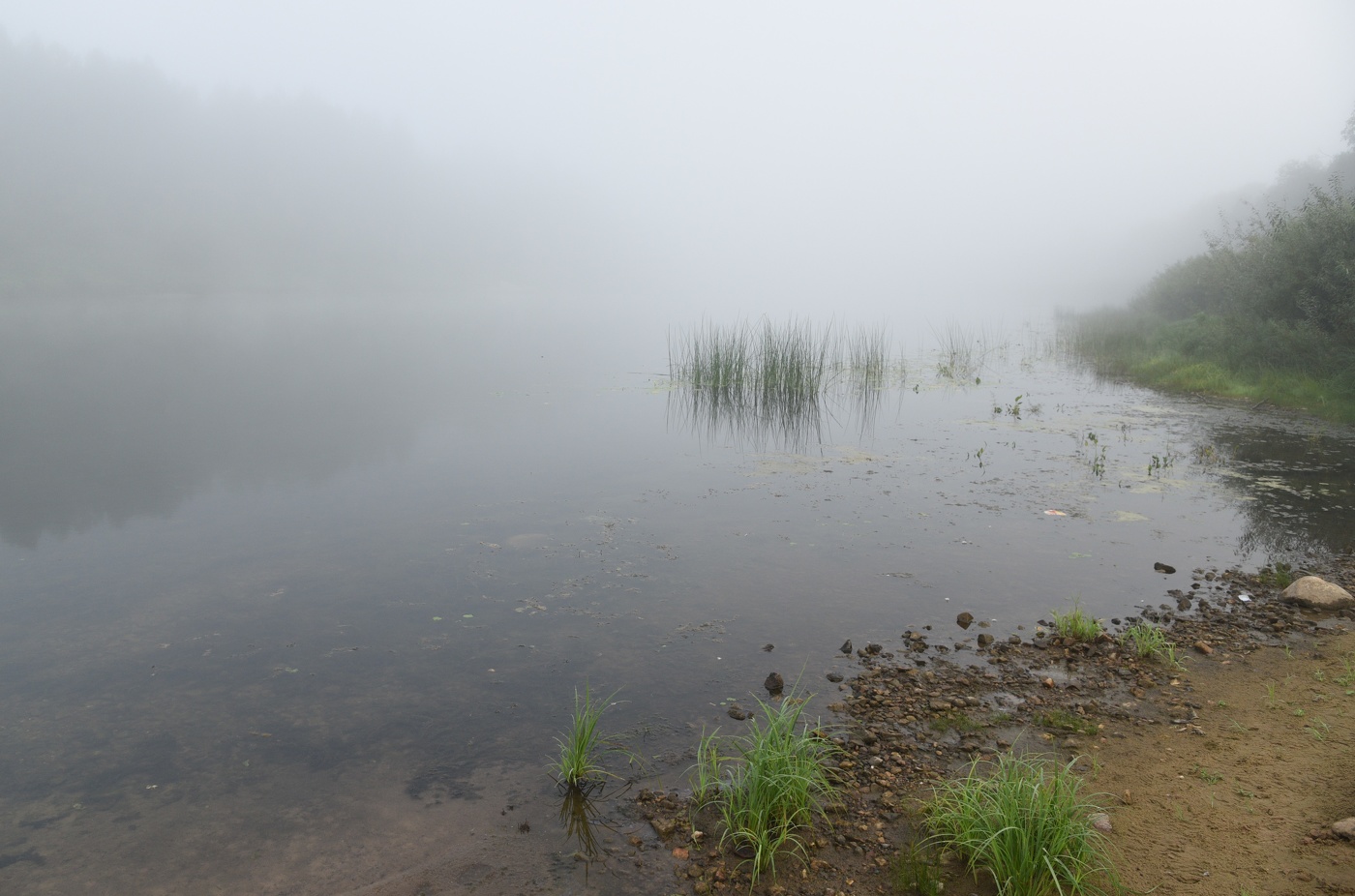 "Я люблю эту гладь, я люблю эту тишь ..."