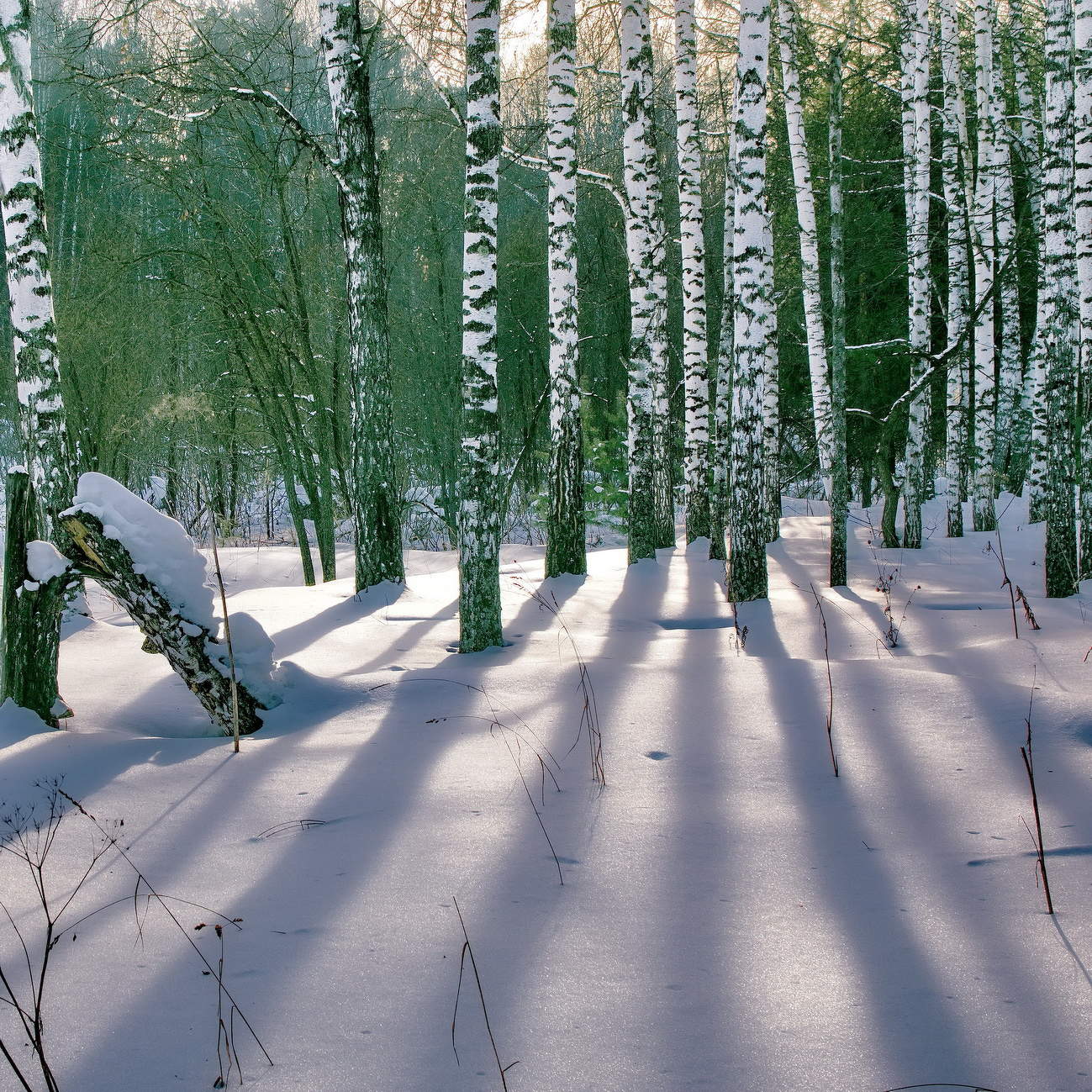 *Морозная дымка.**