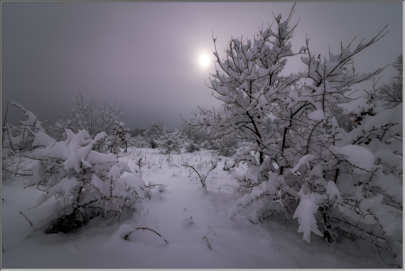 Зимняя сказка