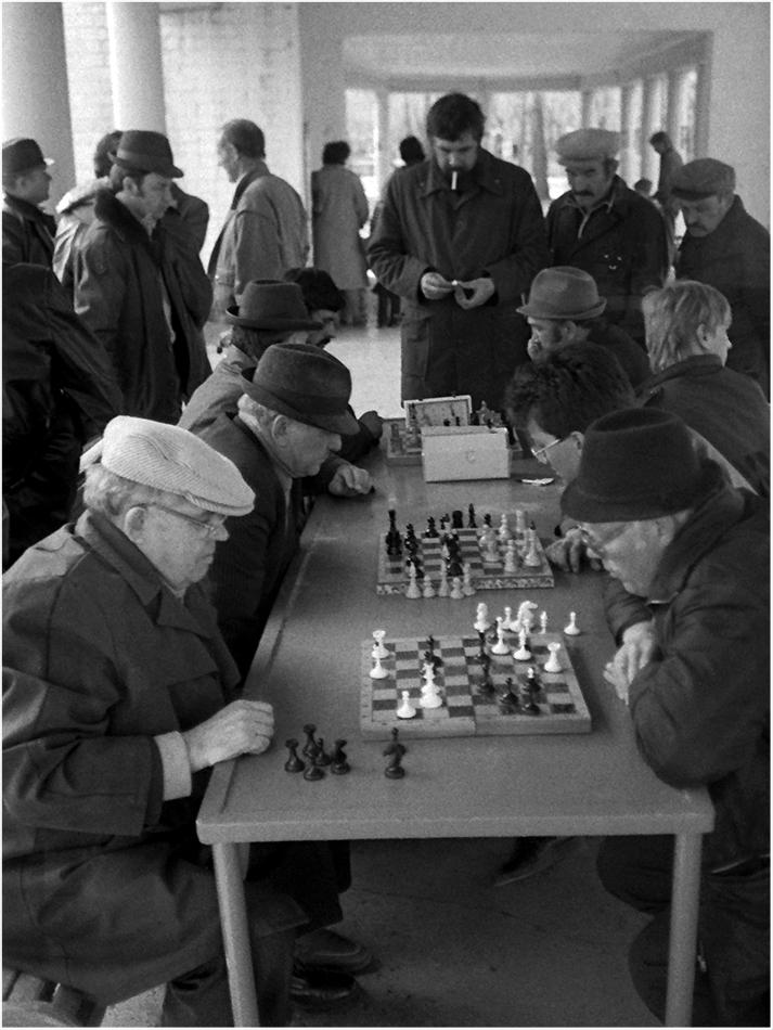 В Старом парке